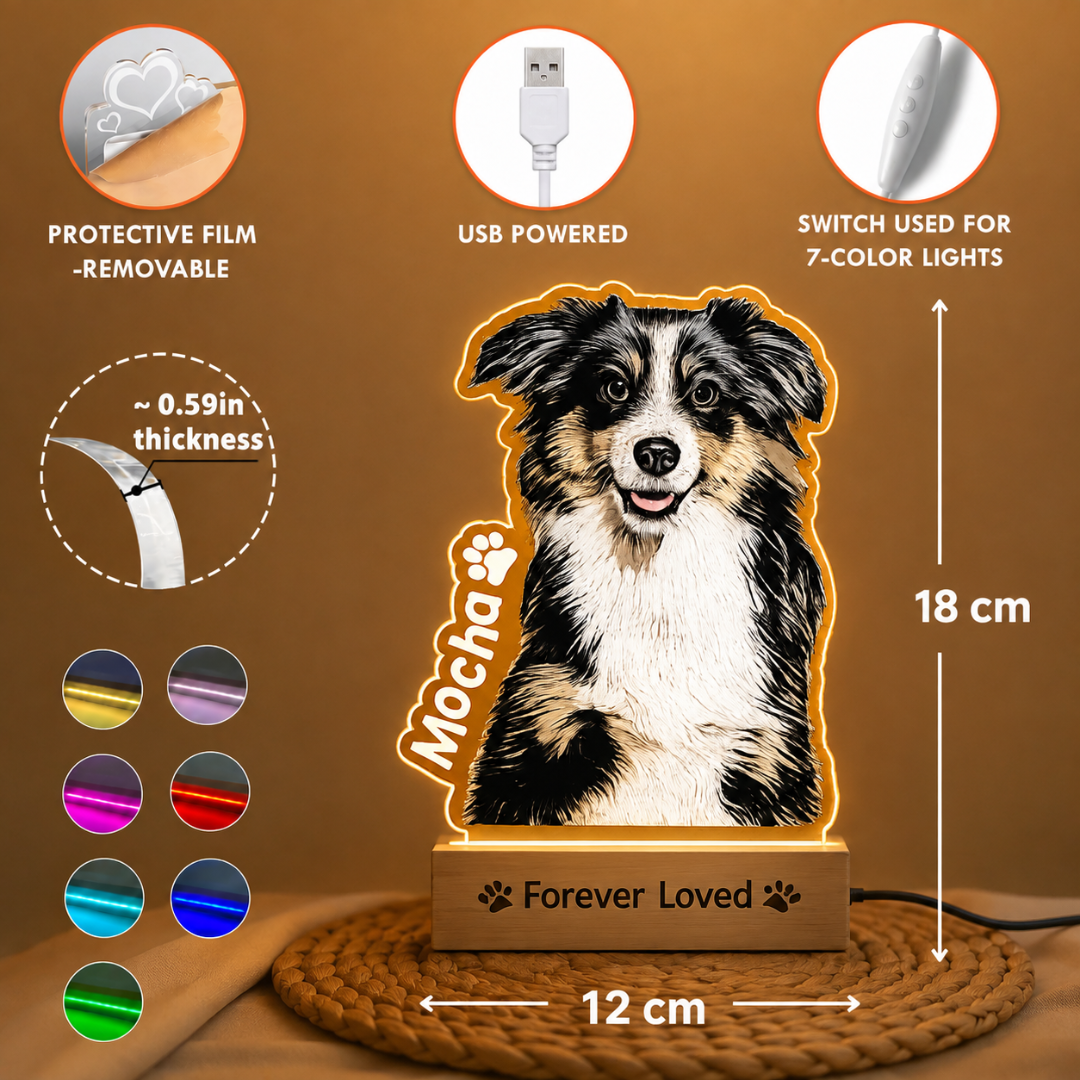 Lampara de mascota personalizada